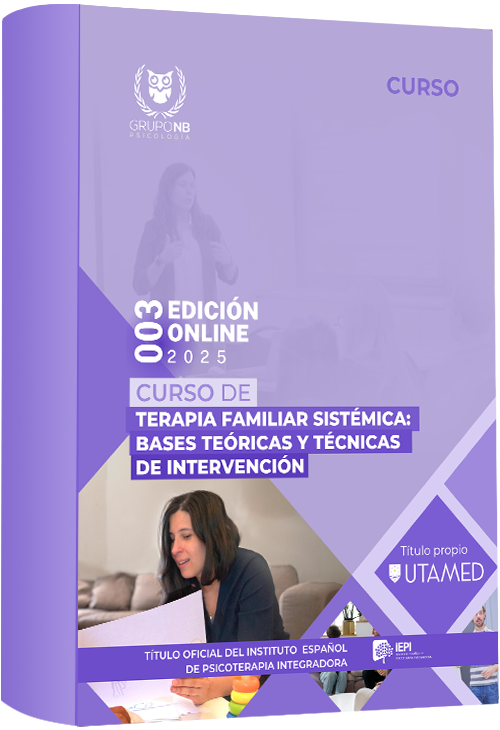 Cursos en Terapia Familiar Sistémica bases teóricas y técnicas de intervención