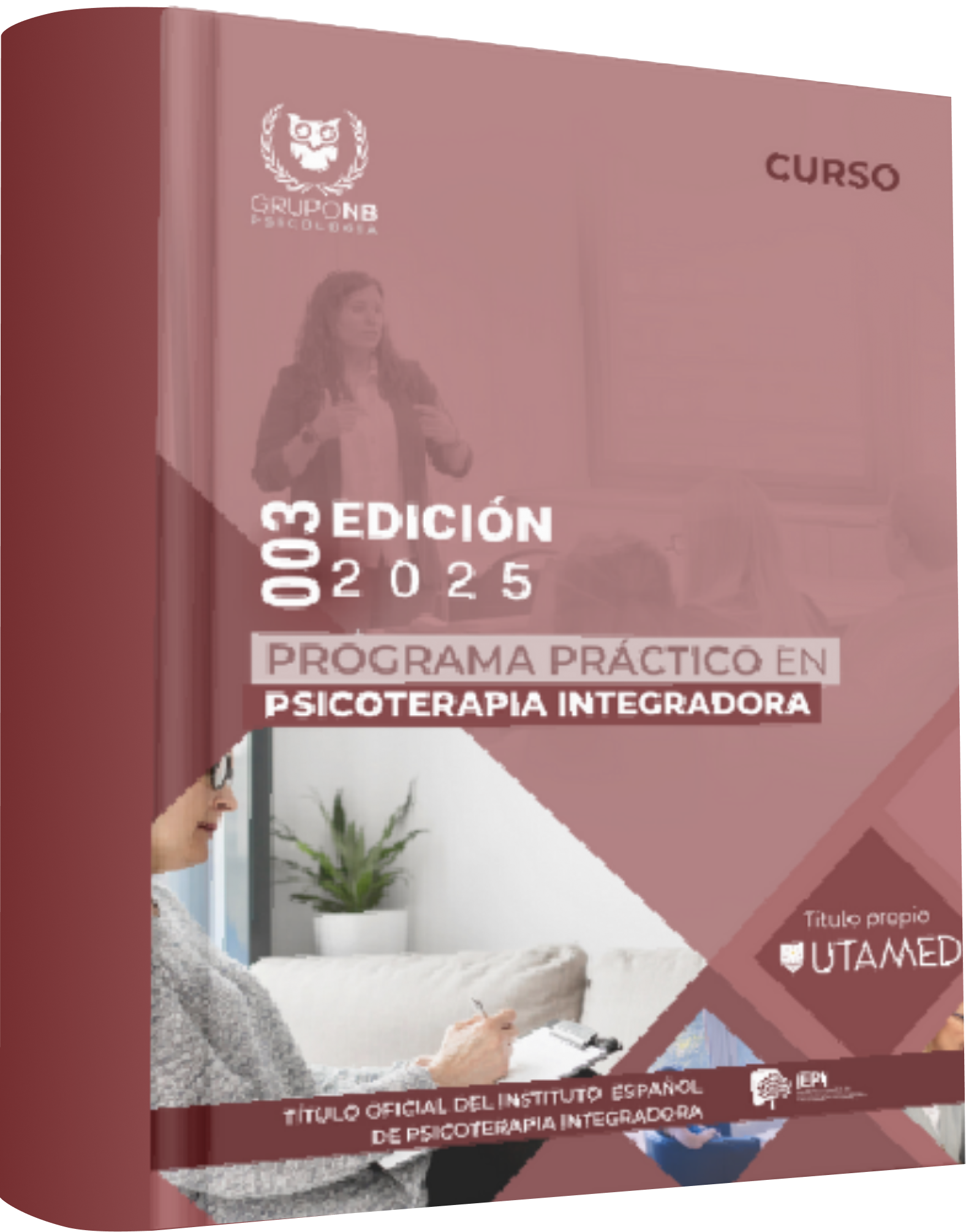 Curso Programa Práctico en Psicoterapia Integradora