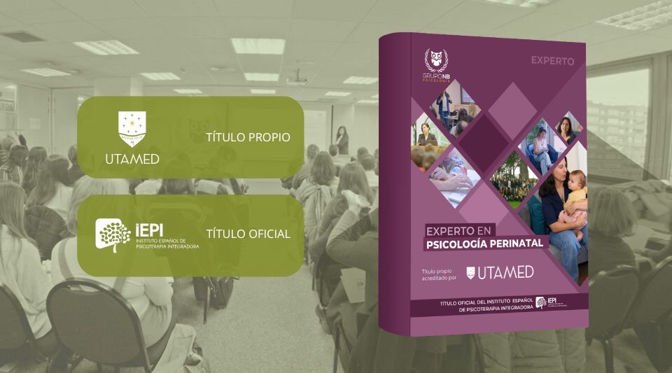 Imagen destacada Experto en Psicología Perinatal